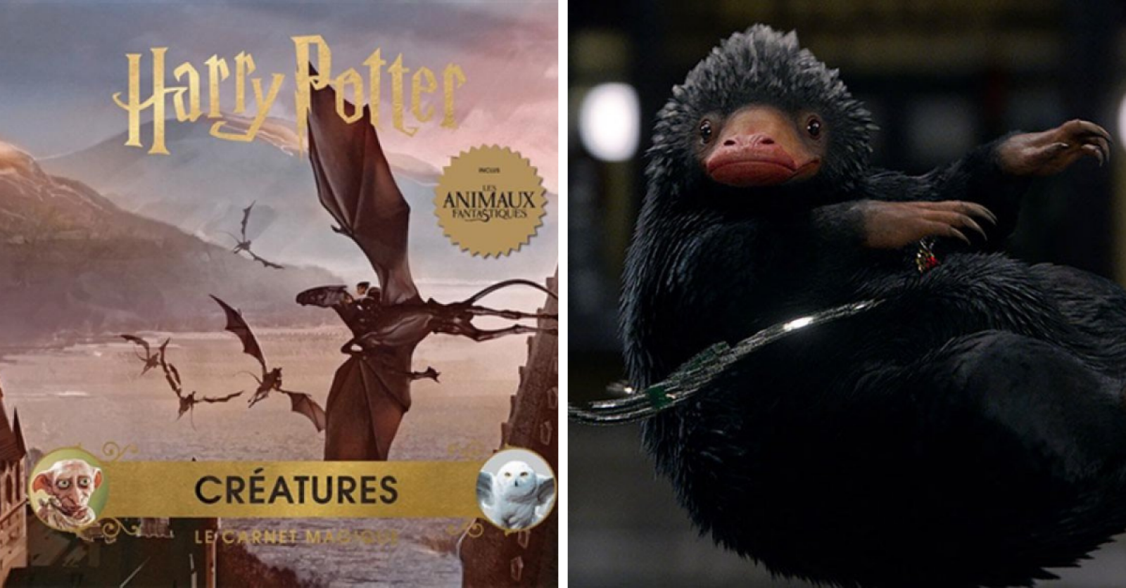 Le livre Harry Potter et les Animaux Fantastiques vient de sortir