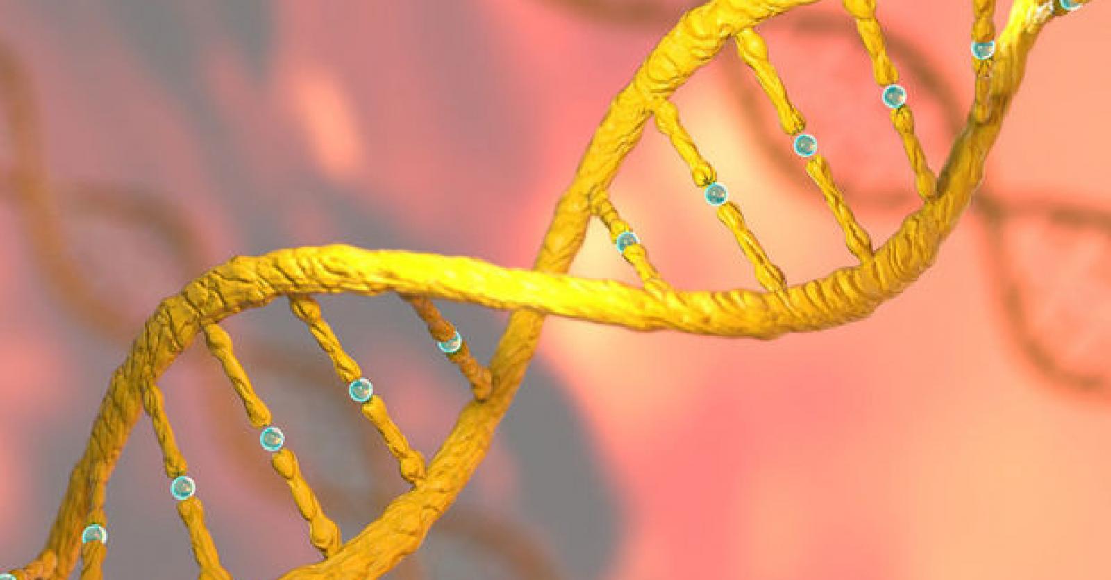 'Er zijn een aantal scenario's te bedenken waarin drie of meer mensen