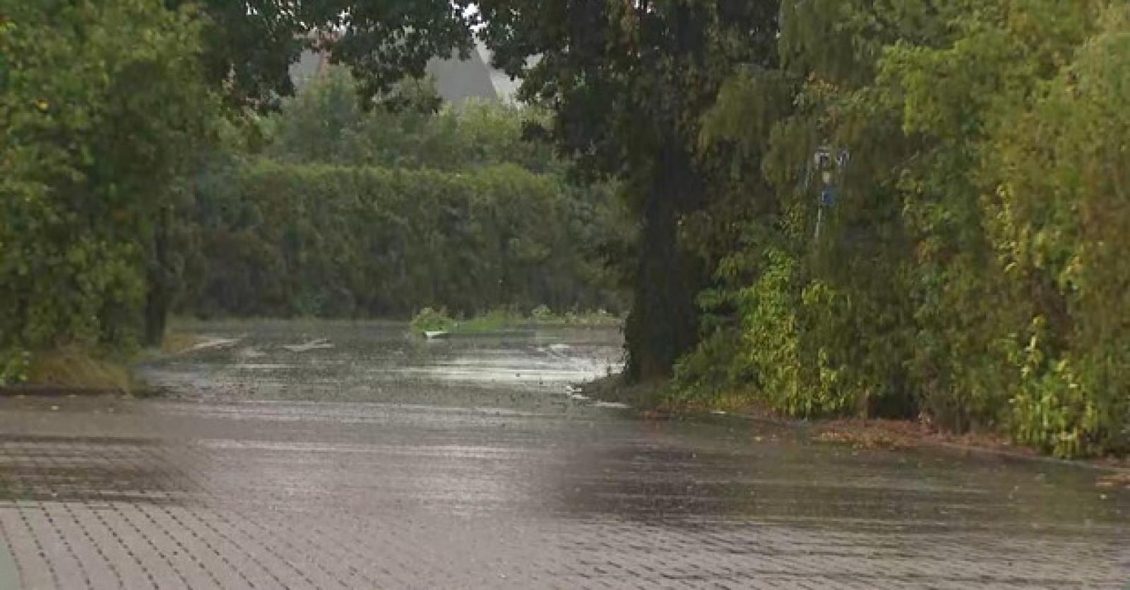 Wat is die geur bij regen na lange droogte?