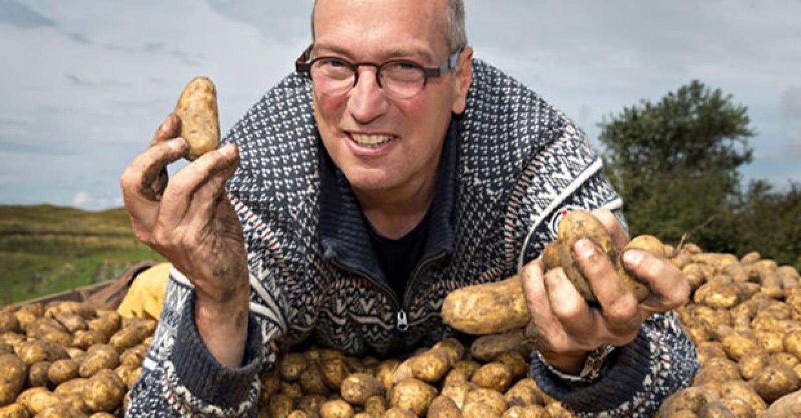 A la recherche de la super-patate, plus résistante et nutritive