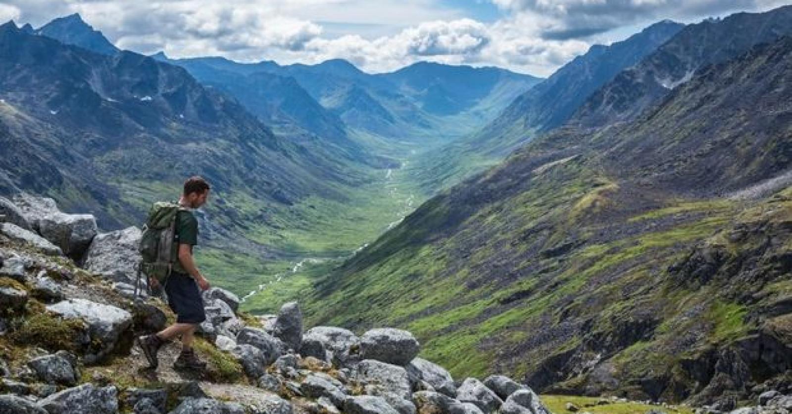 'Ongeacht hoe mooi het gras in onze eigen tuin groeit, dat aan de