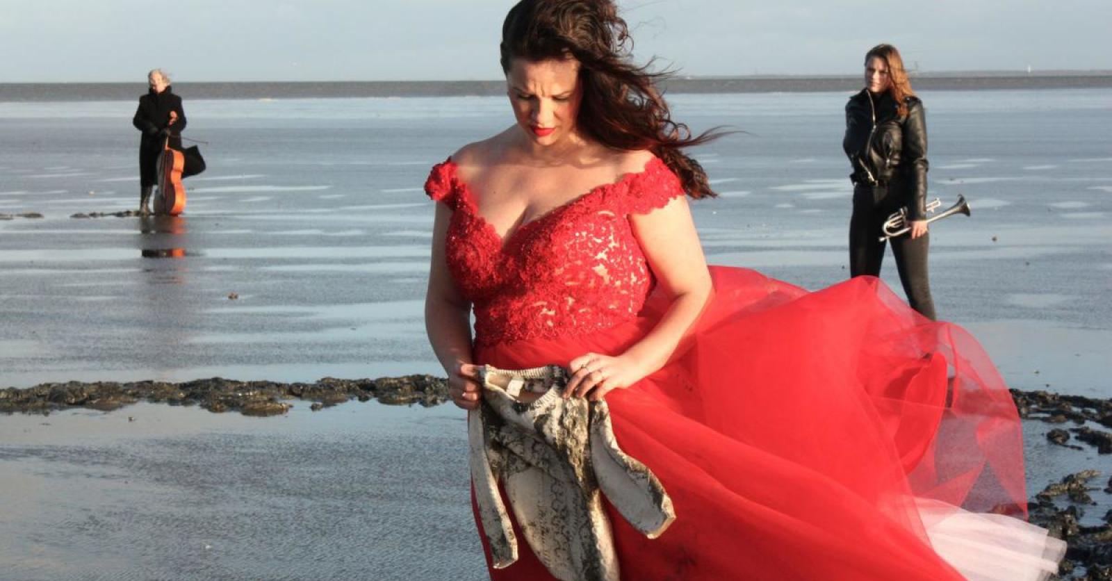 Friesland brengt Ode aan het Landschap