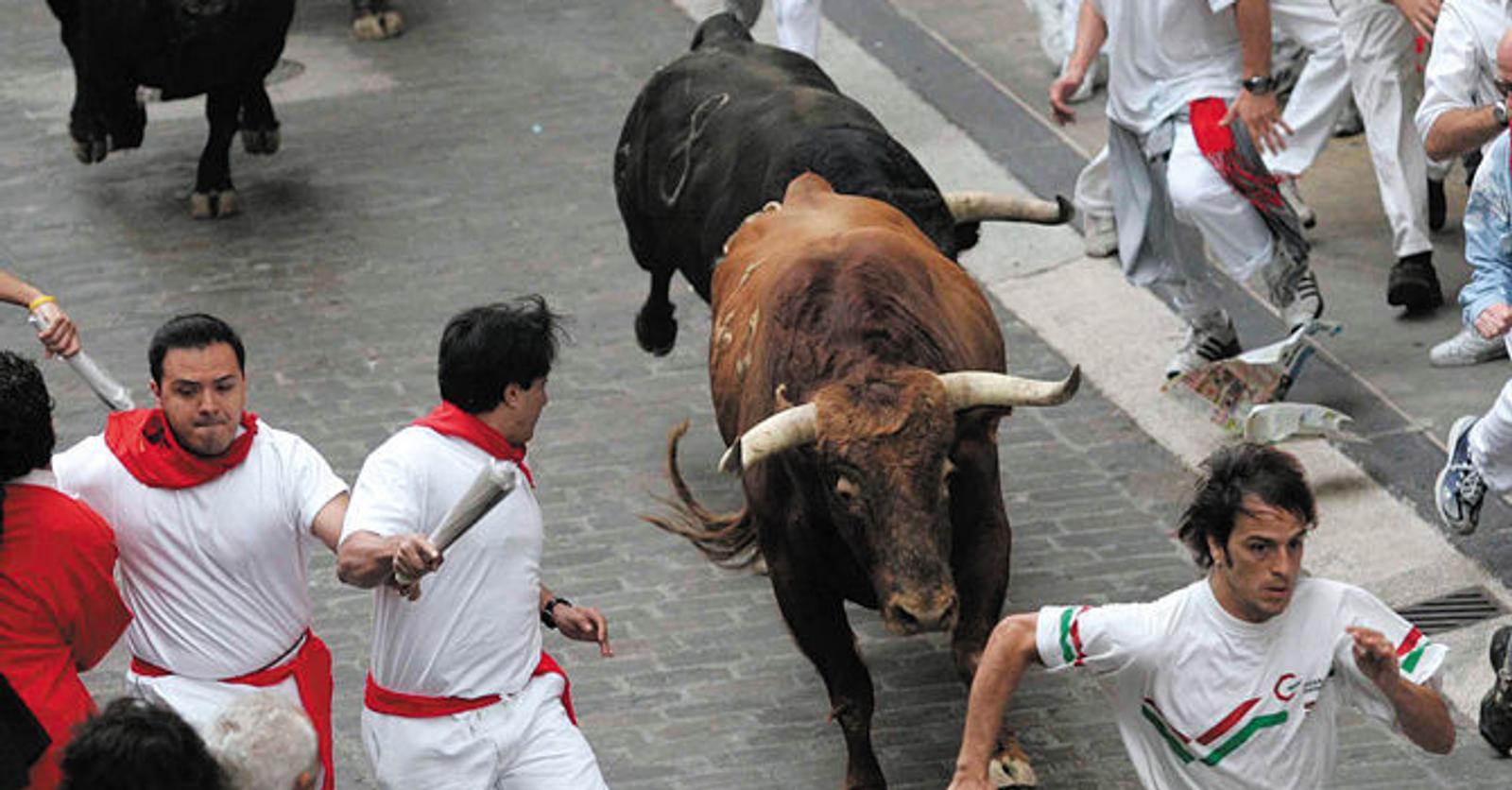 Stierenrennen In Pamplona stierenrennen-in-pamplona