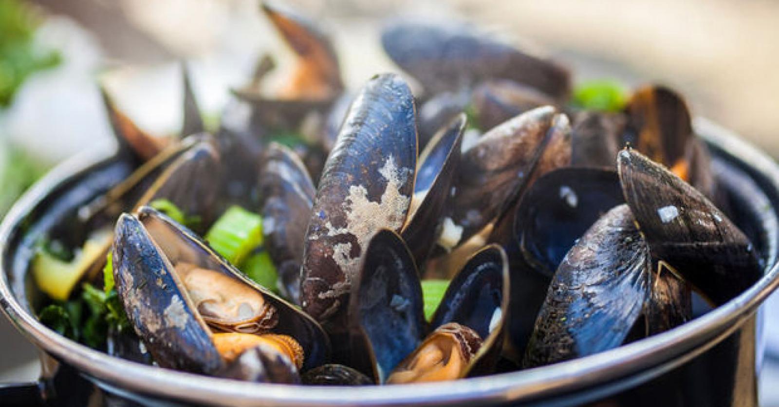 Zeeuwse mosselseizoen gaat eindelijk van start