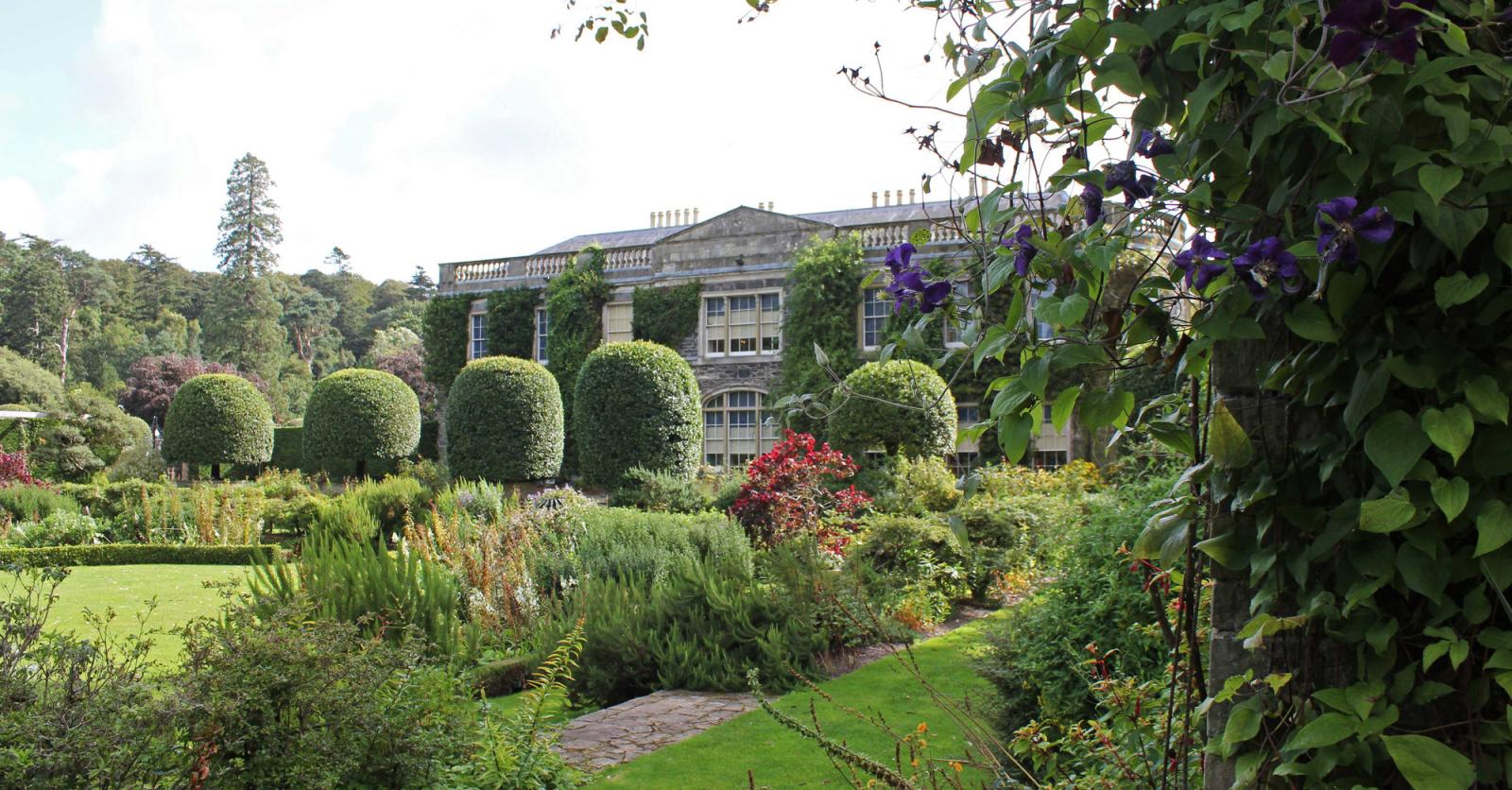 Een schot in de roos: zeven verrassende tuinen in Noord-Ierland