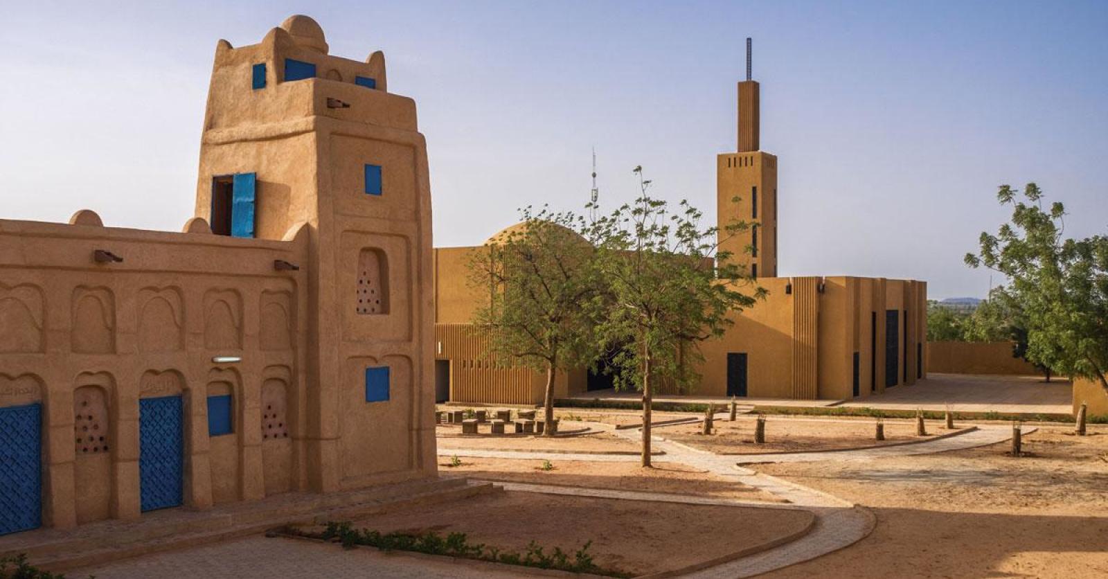 L'Art de la Tresse au Niger : Entre Tradition, Modernité et