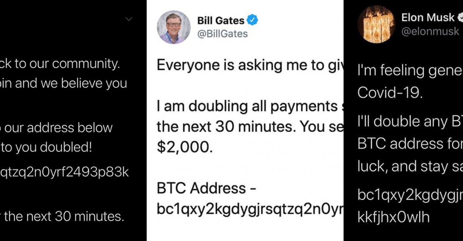 Comment des hackers ont-ils pu tweeter en se faisant passer pour Elon Musk  ou Bill Gates? - Data News