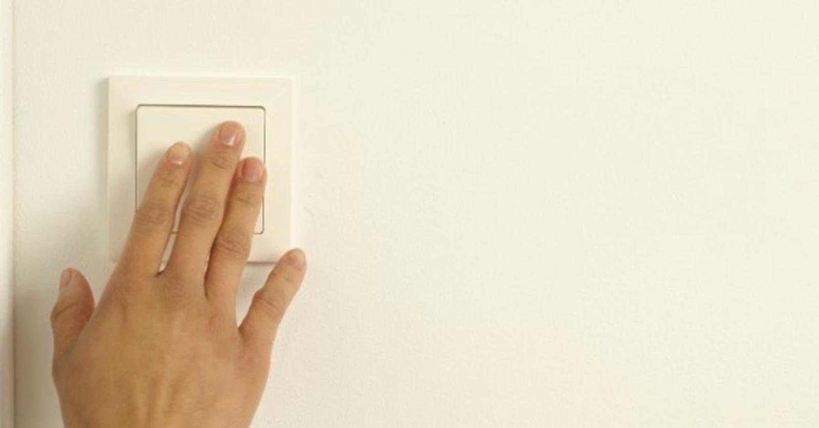 Helft van de werknemers heeft groene voornemens