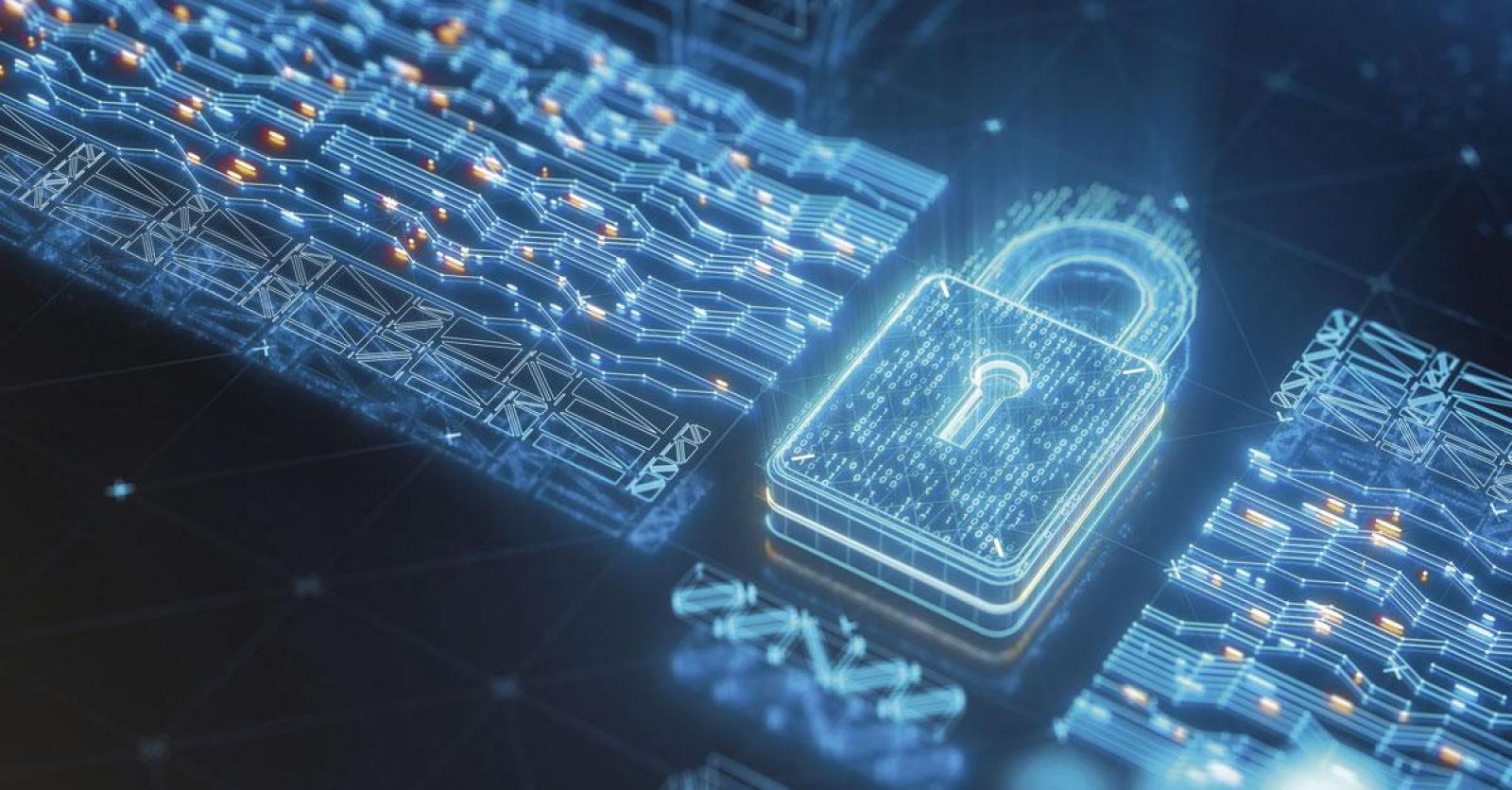 Nicolas Priem et Michiel Lescrauwaet (Tioga Capital): “2025 sera le point  de bascule pour la blockchain”