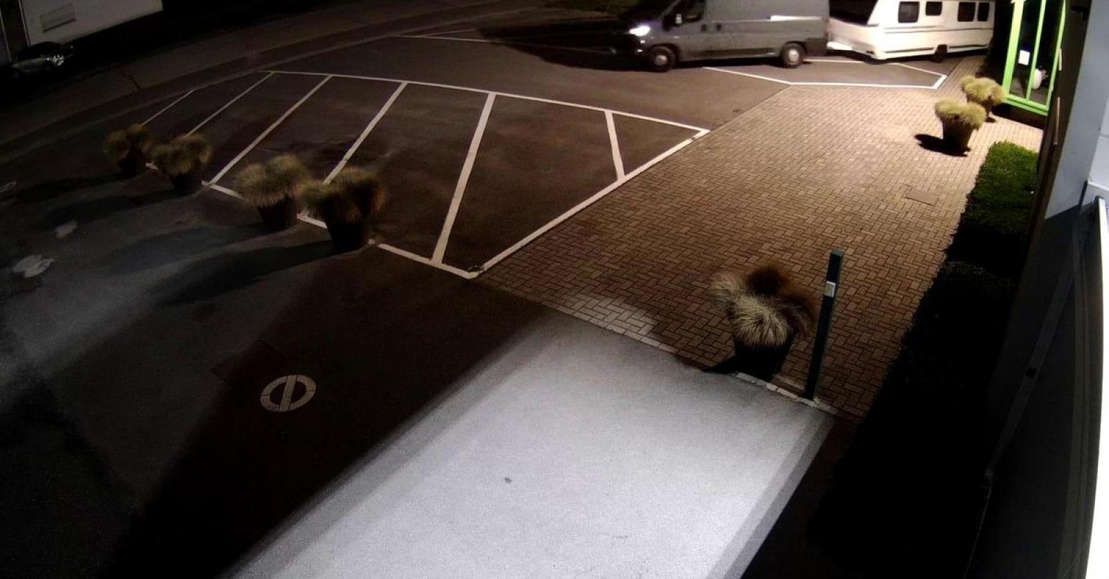 Vijf caravans gestolen bij Decuyper KW.be