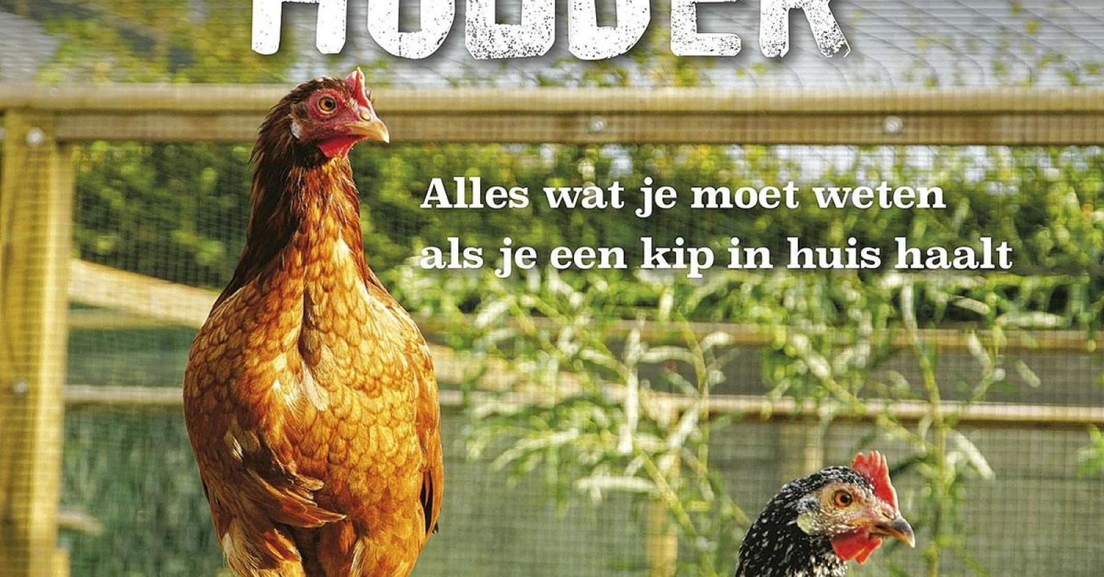 Van de kip en het ei - Plus Magazine