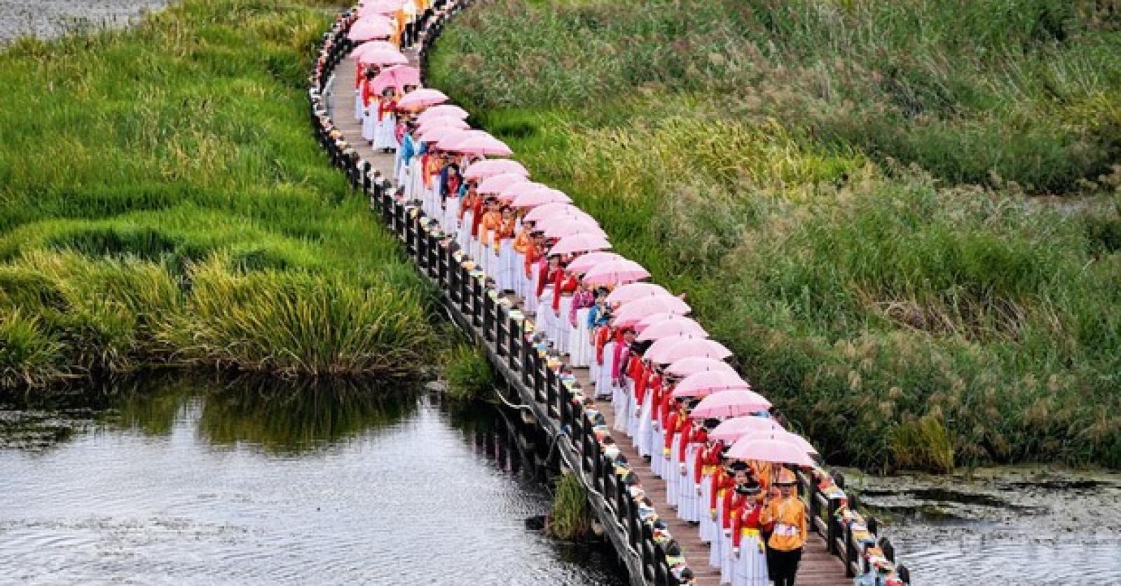 Oui, je le veux ! Plus Magazine