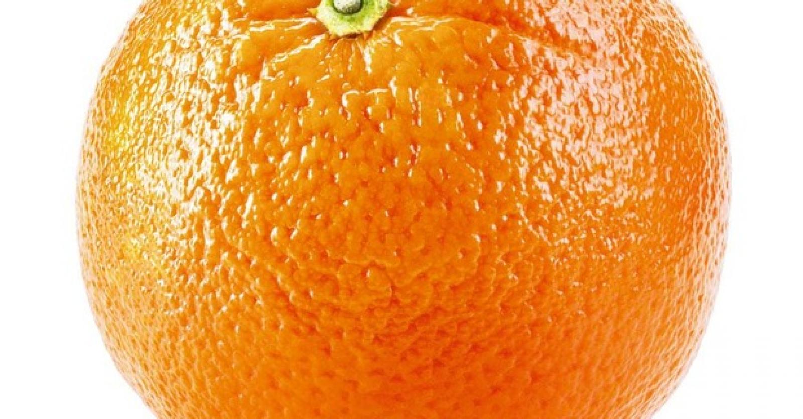 Une orange par jour Plus Magazine