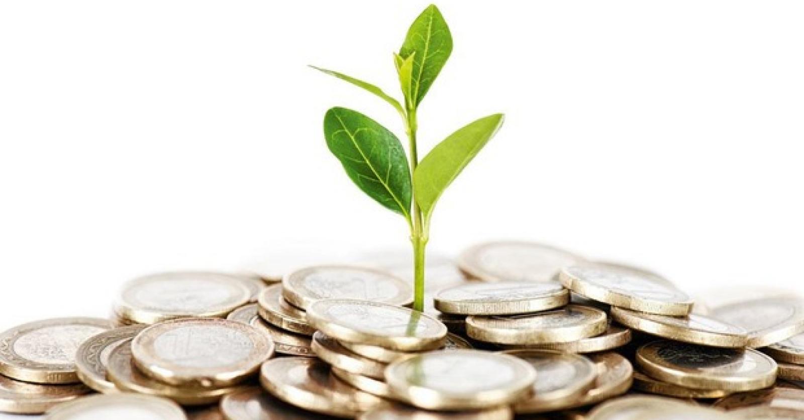 Épargnant pas épargné Plus Magazine