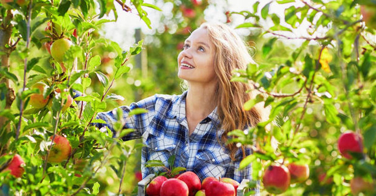 Een appeltje voor de dorst - Plus Magazine