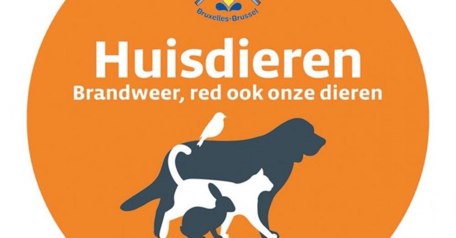 Redder in nood Plus Magazine