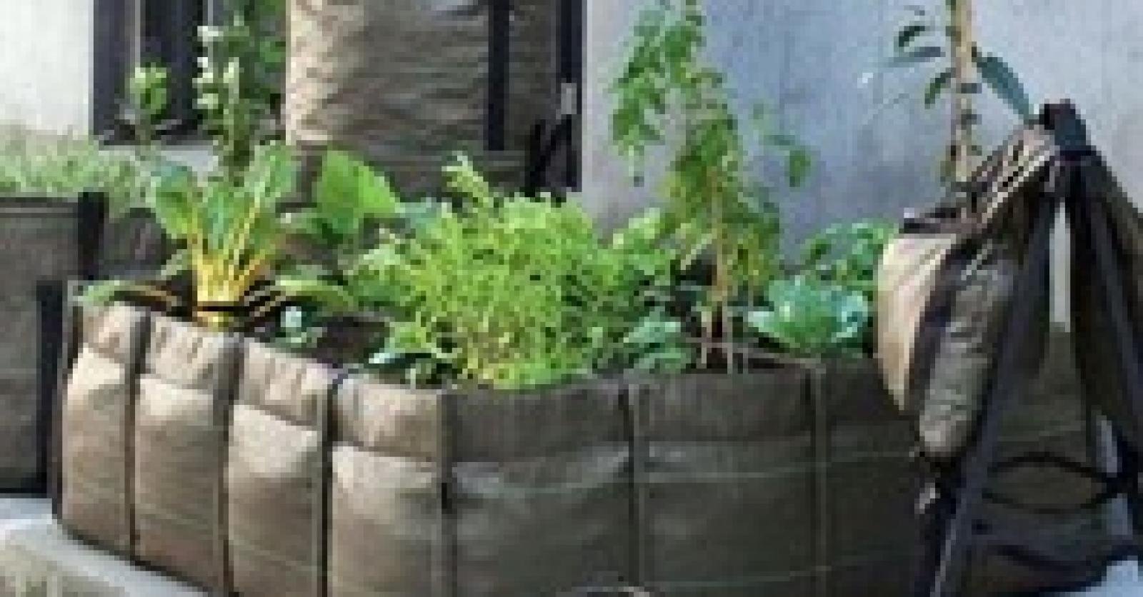 Tuinieren in de stad - Plus Magazine