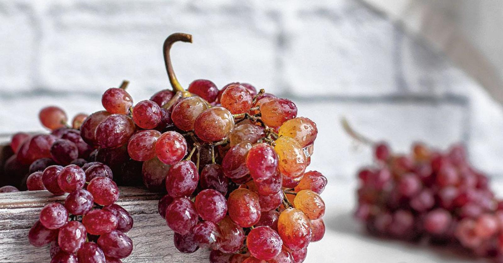 Le raisin Plus Magazine