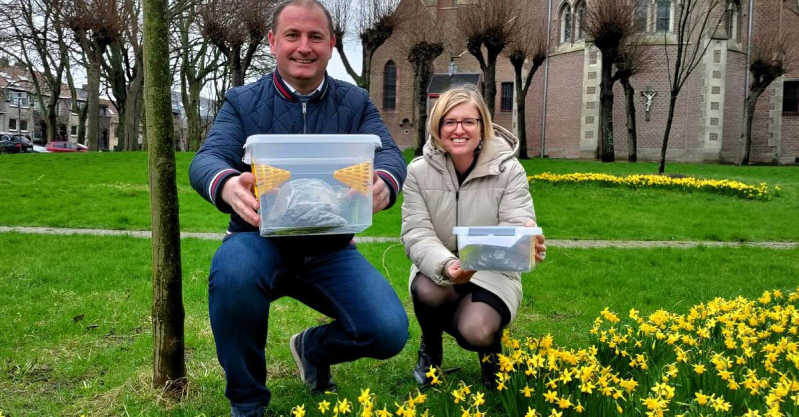 Oudenburg vraagt inwoners hulp om Aziatische hoornaar te bestrijden - KW.be