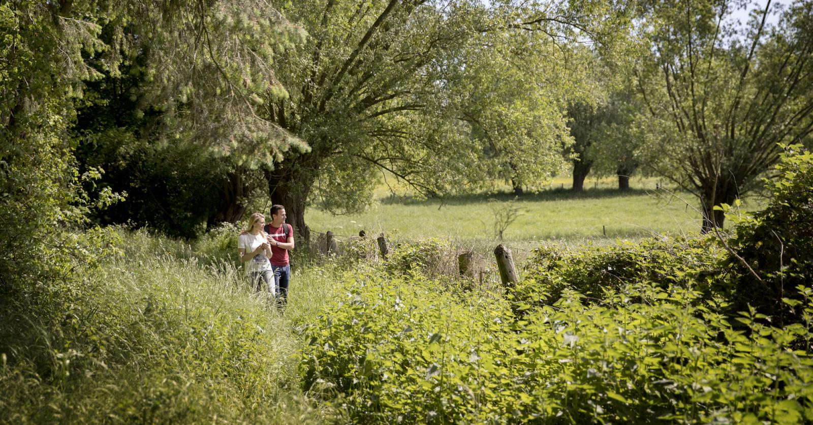 Wandelroute In Oost Vlaanderen Tussen Helix En Bosberg Bij Geraardsbergen Libelle