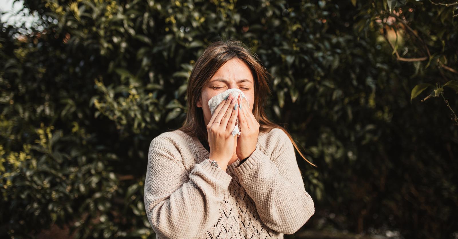 6 remèdes contre les allergies au pollen
