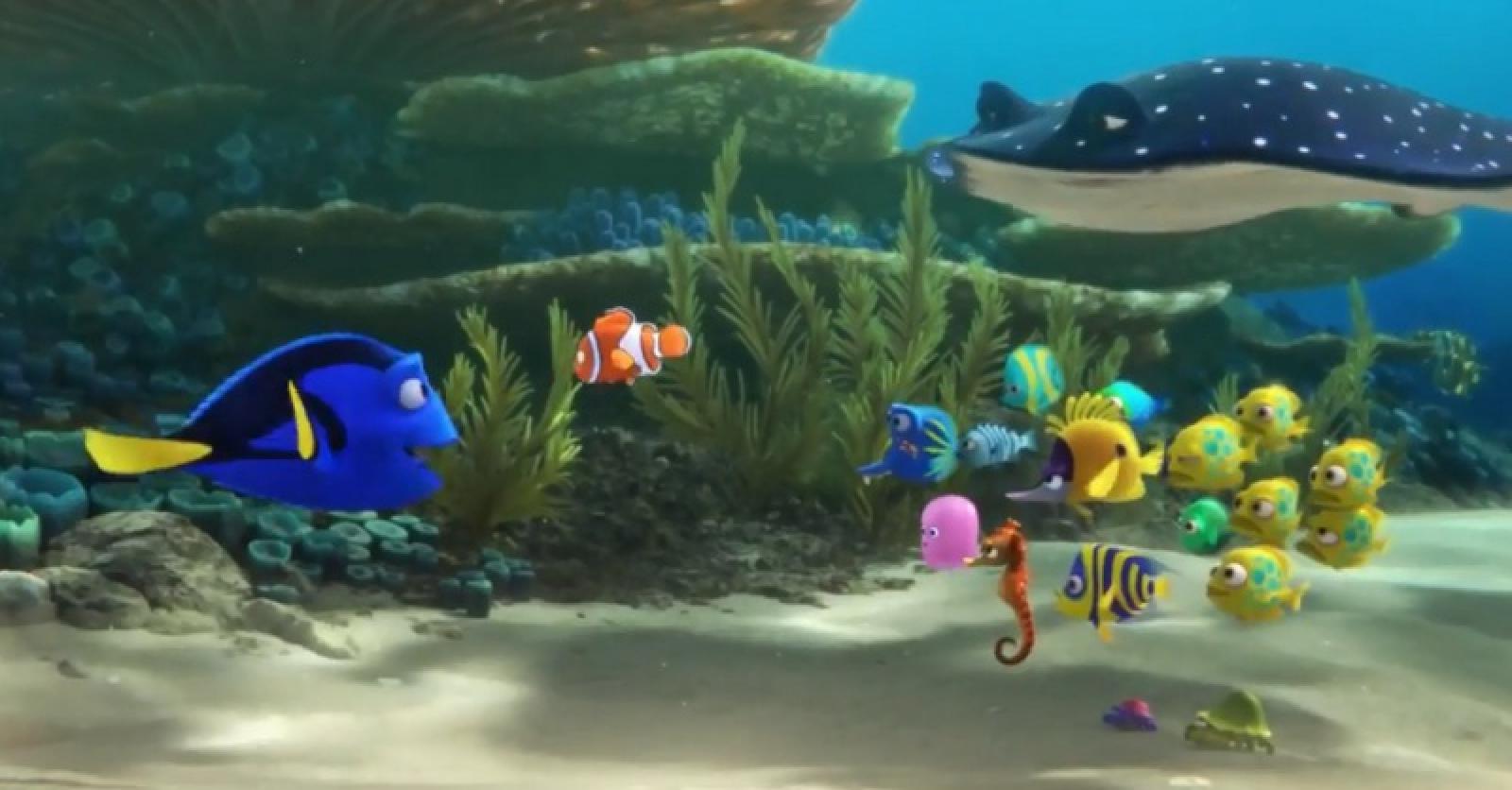 Découvrez Les Premières Du Images Du Monde De Dory Le Nouveau Pixar Vidéo 