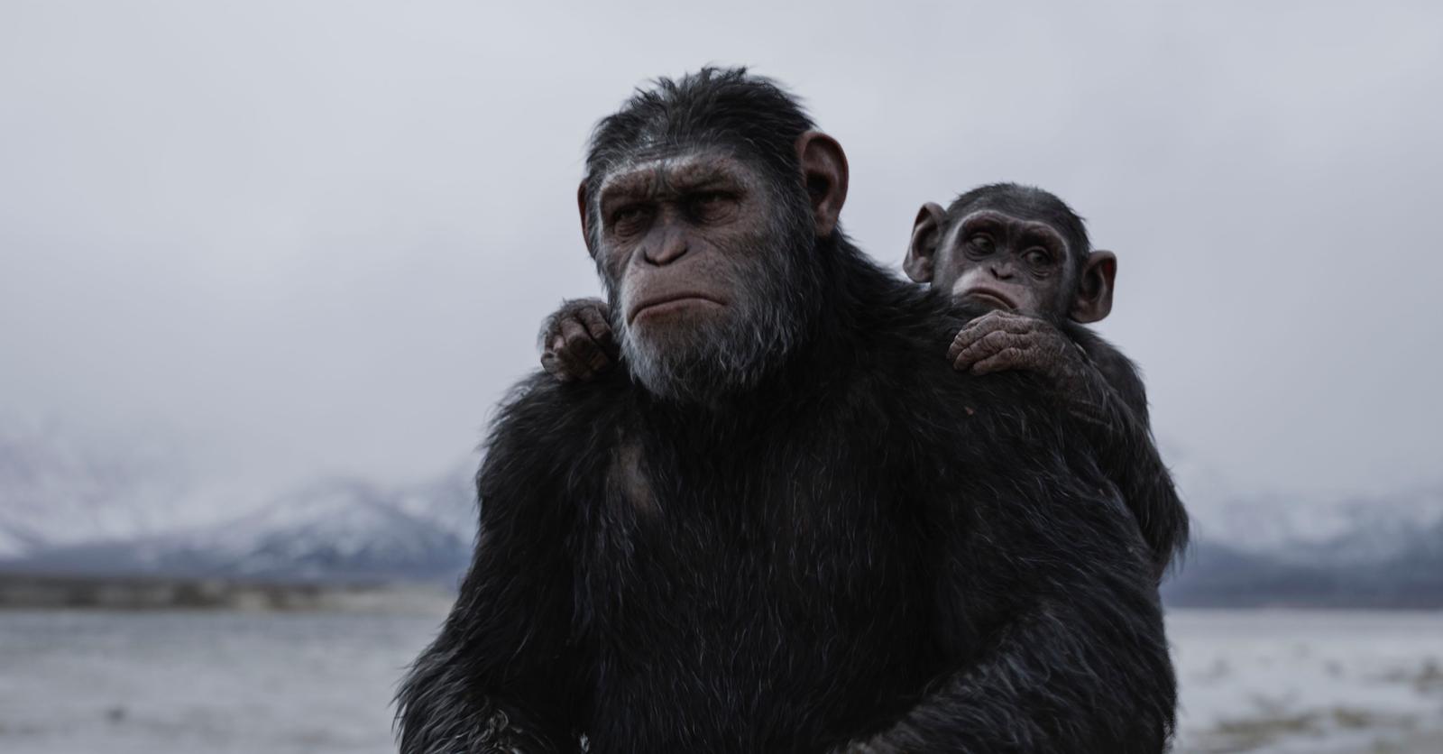 Faut-il regarder «La Planète des singes : suprématie» (jeudi à 20h25
