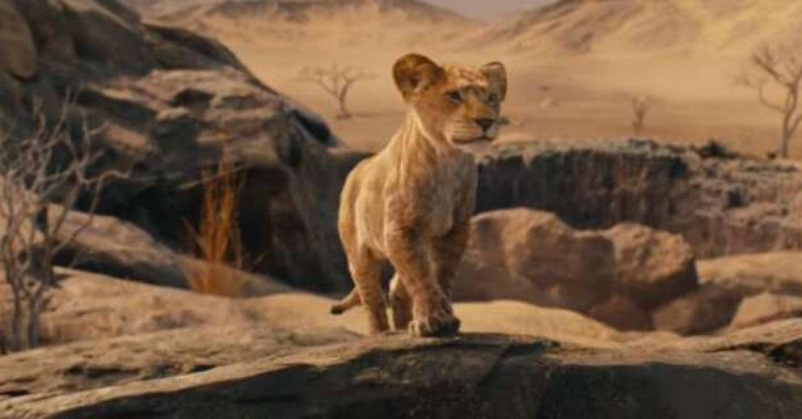 Mufasa Le Roi Lion la bandeannonce du Disney vient de sortir