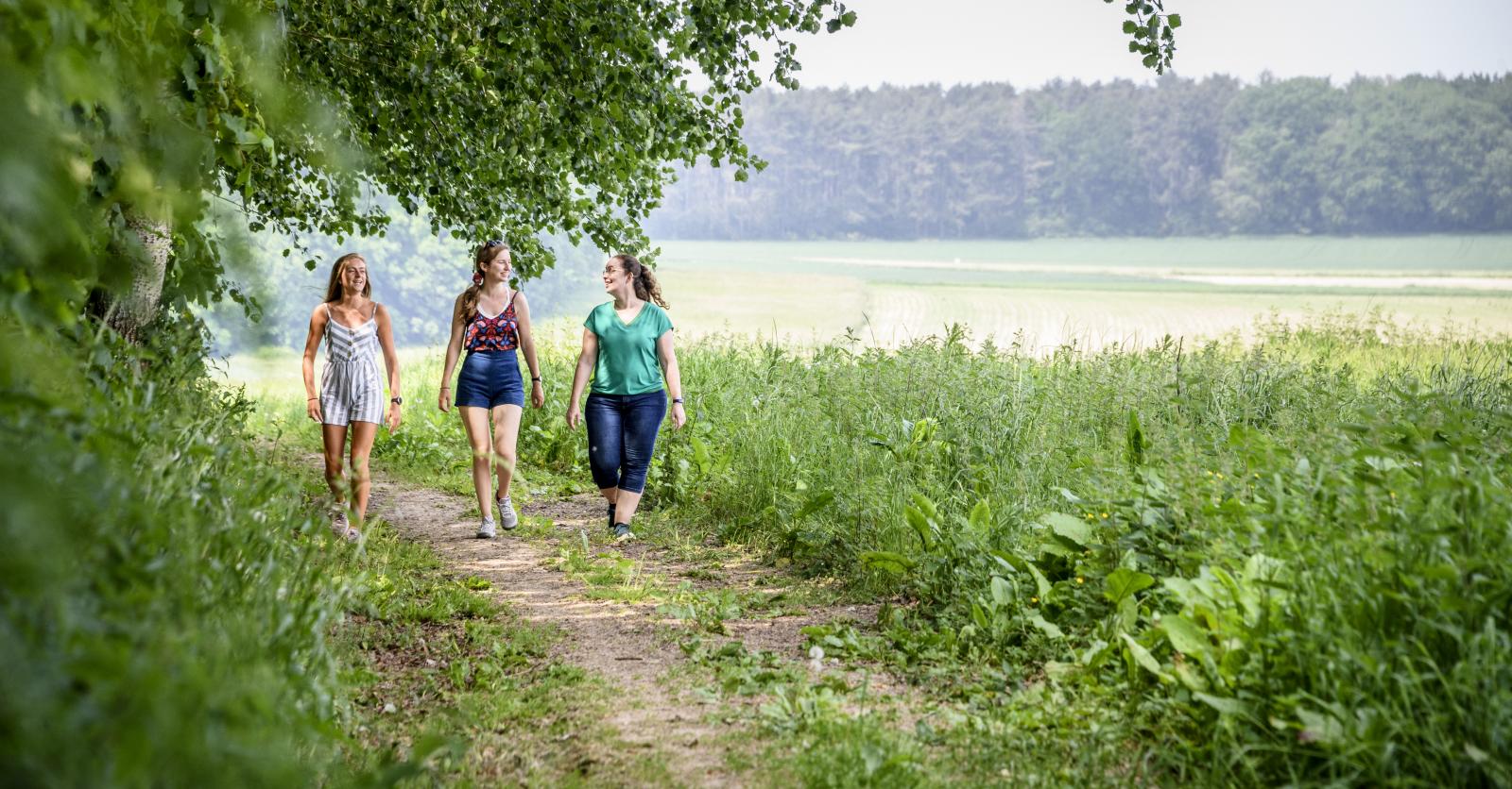 Wandelroute in Vlaams-Brabant: Klein-Zwitserland bij Kerkom - Libelle