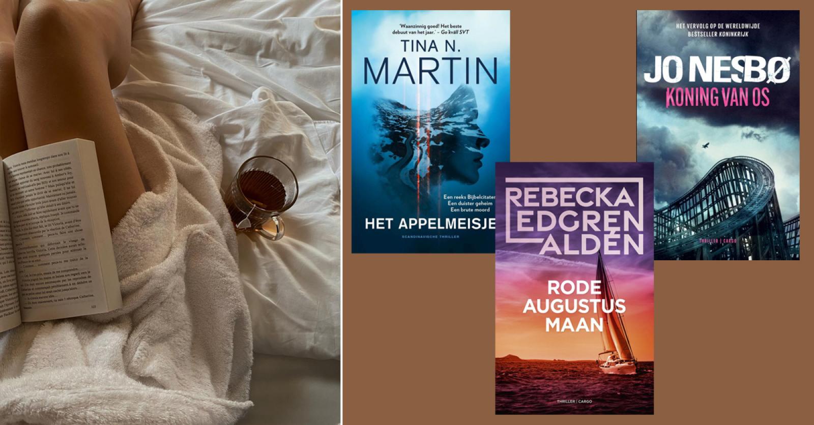 Scandinavische Thriller Boeken Top 10