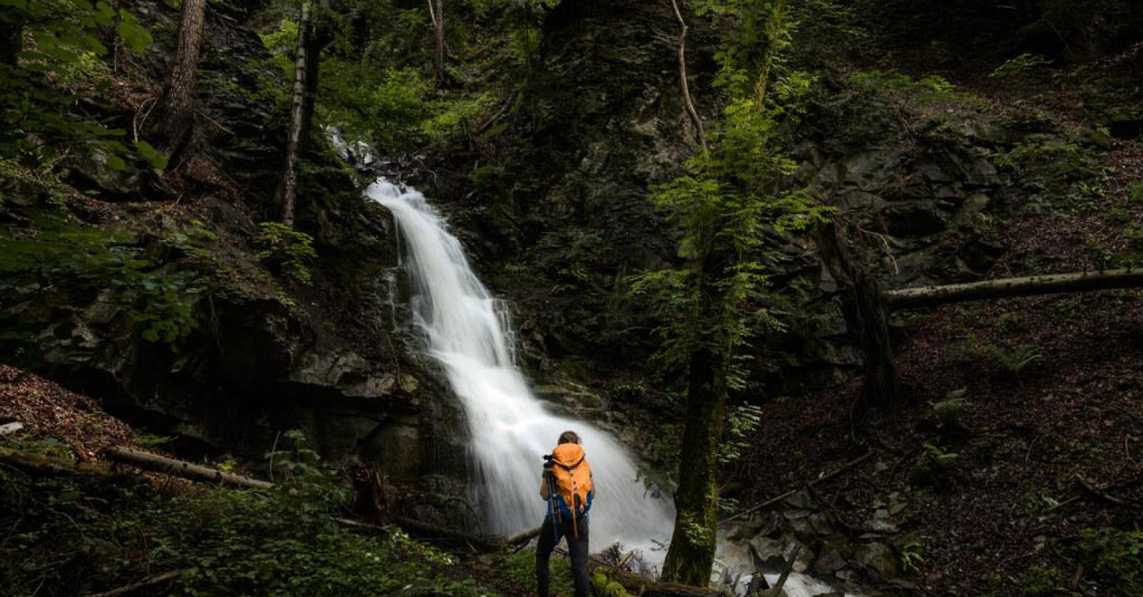 Mel maia nua porno in fact I contacted the agency regarding