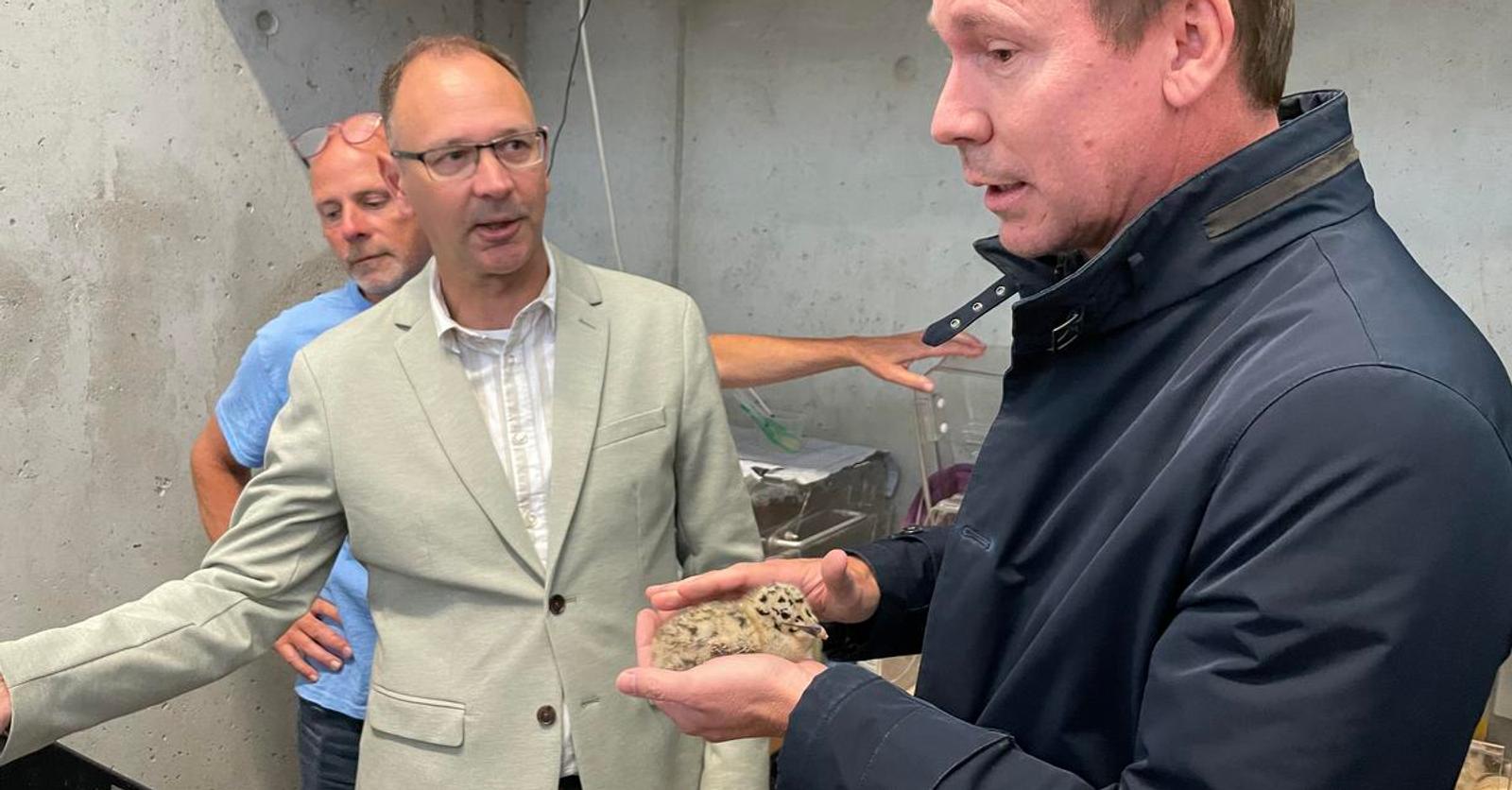 Minister Jo Brouns op stap met het meeuwenteam: “Maatregelen om overlast te verminderen”