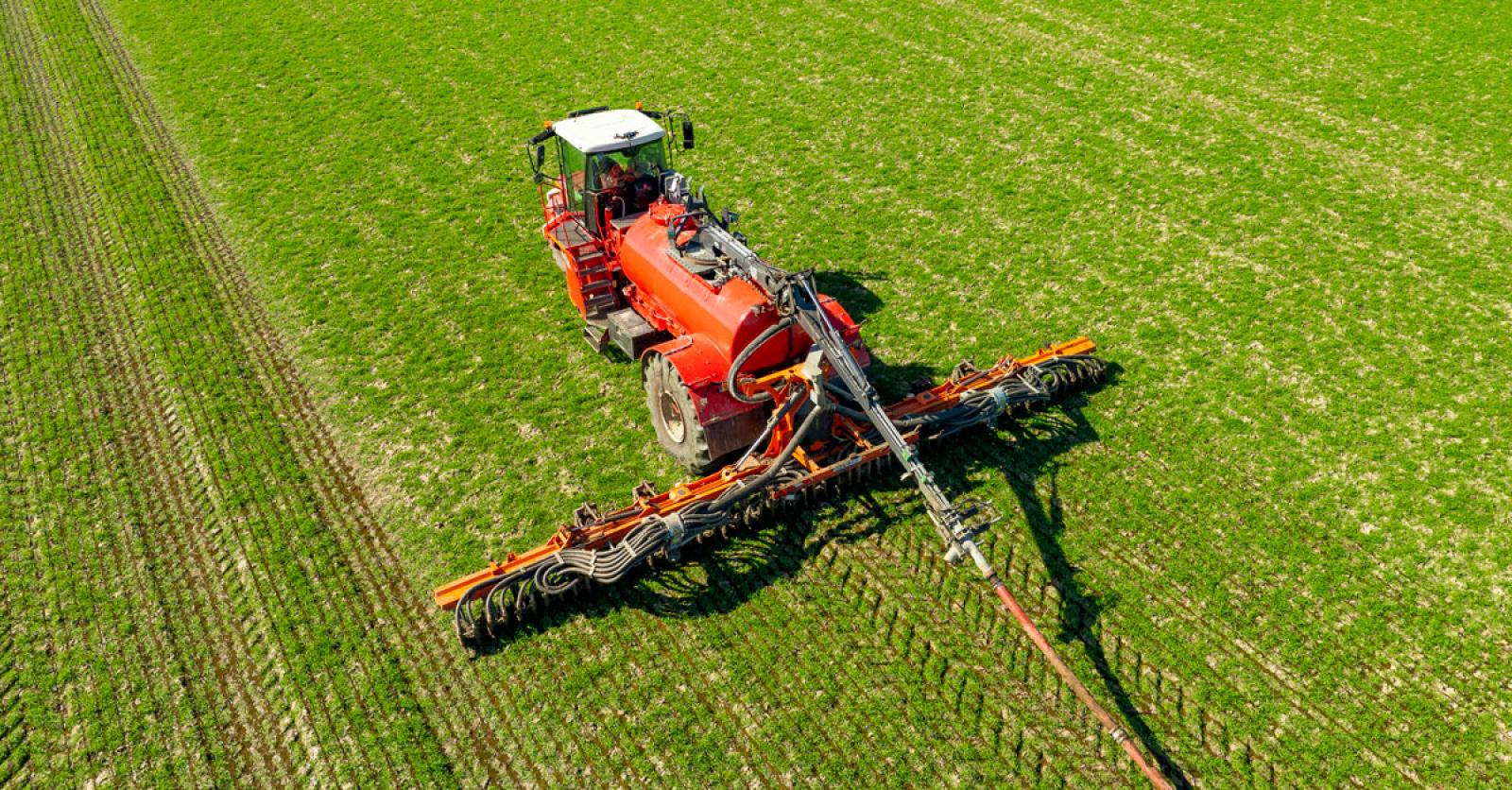 Bailey Brooke's playful glance