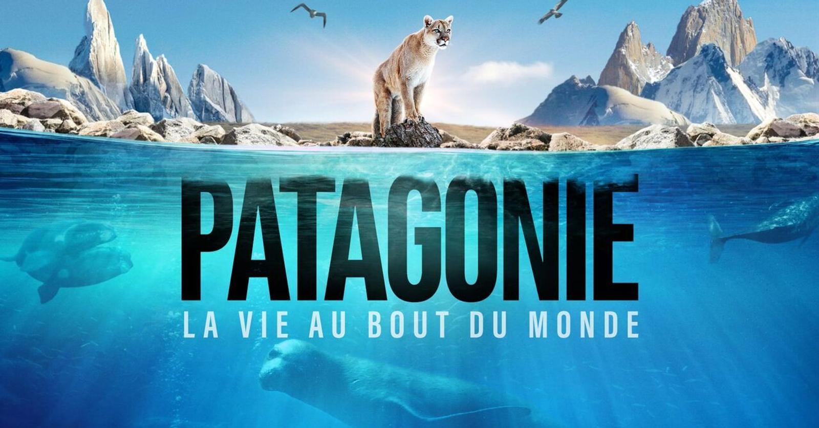 Patagonie la vie au bout du monde - Télépro
