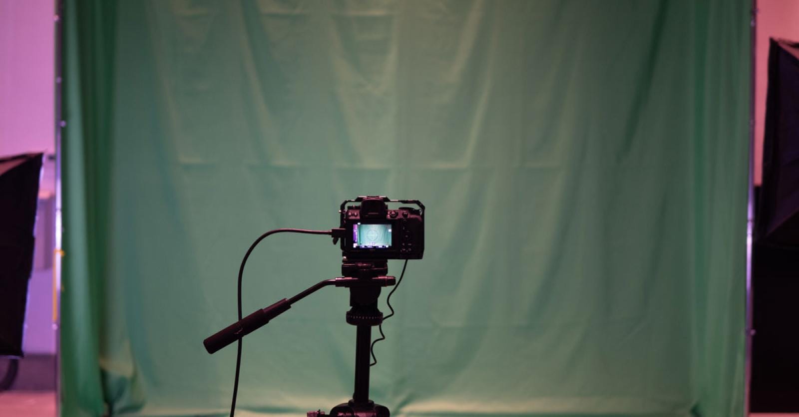 ‘Op angstige, jonge dieren schieten maakt van jou geen jager of kunstenaar’