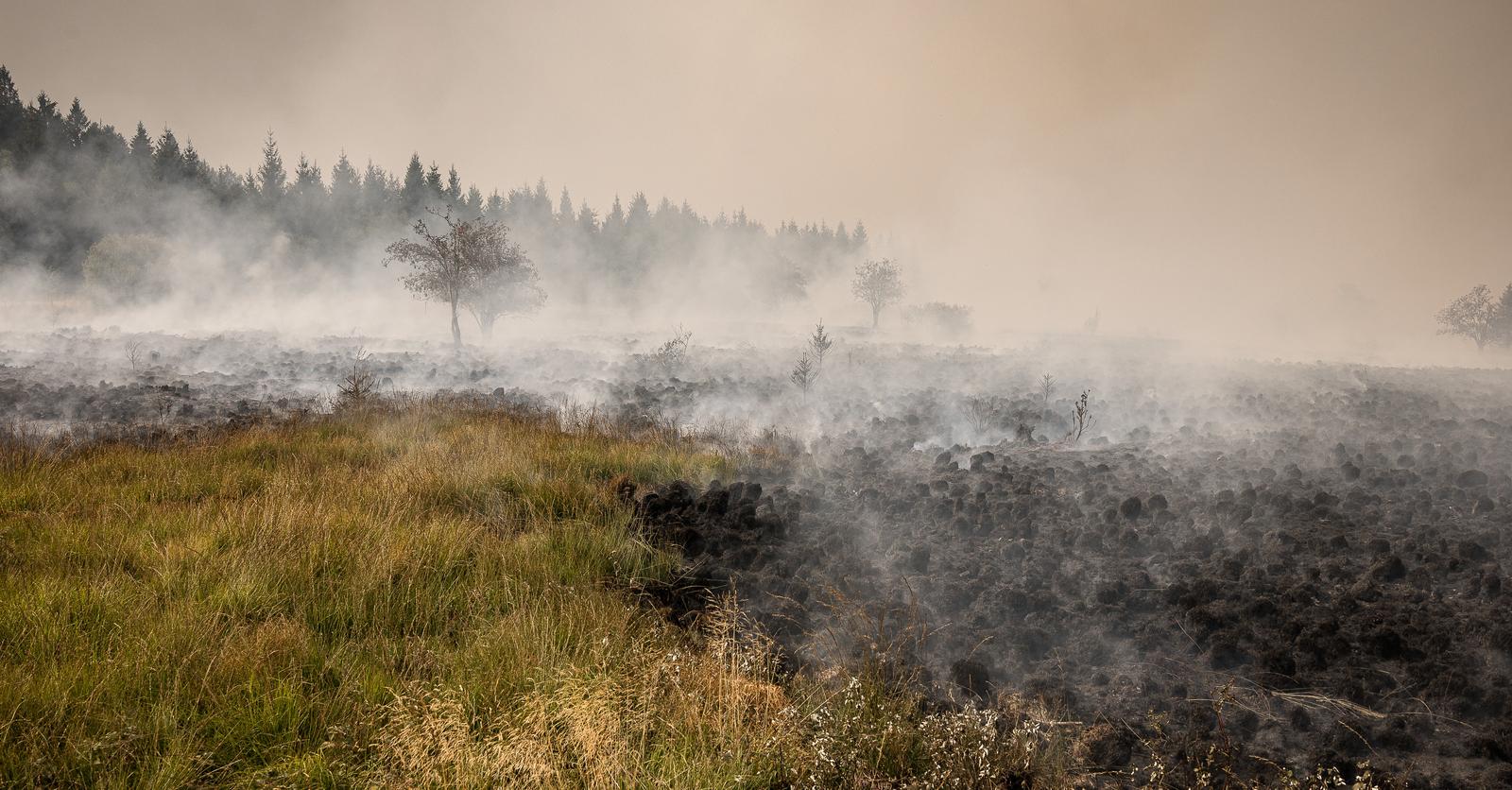 Incendie dans les Fagnes: Bart De Wever réagit face aux 3.000 hectares brulés et aux centaines d'habitants évacués