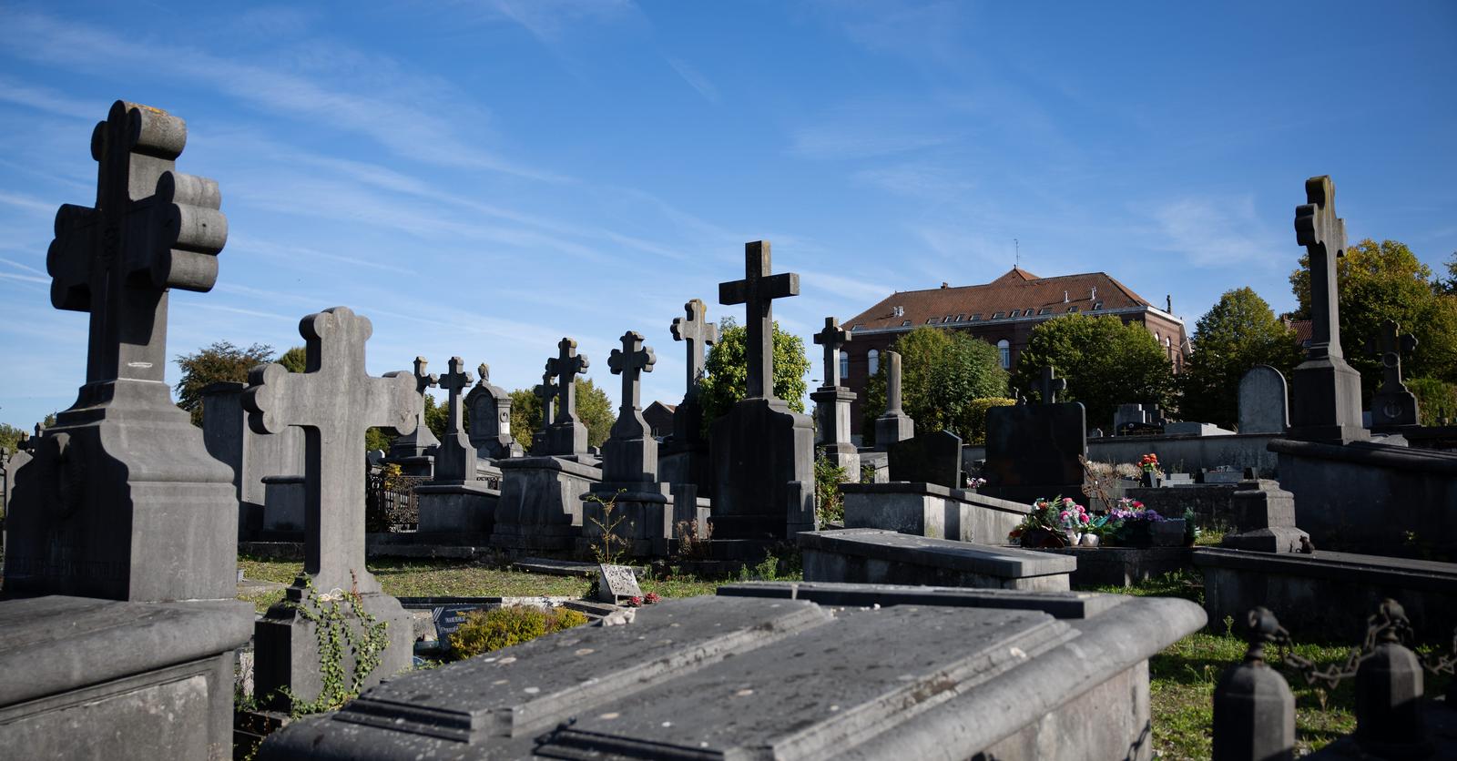 Salaires ajustés, inhumation avec son animal, confiscation de véhicule ...