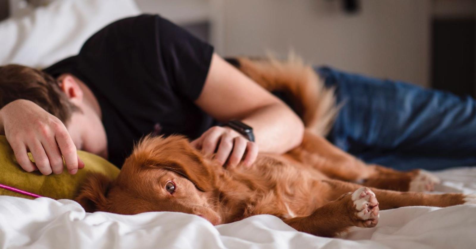 AHA dit is waarom je beter met je hond slaapt dan met je kat