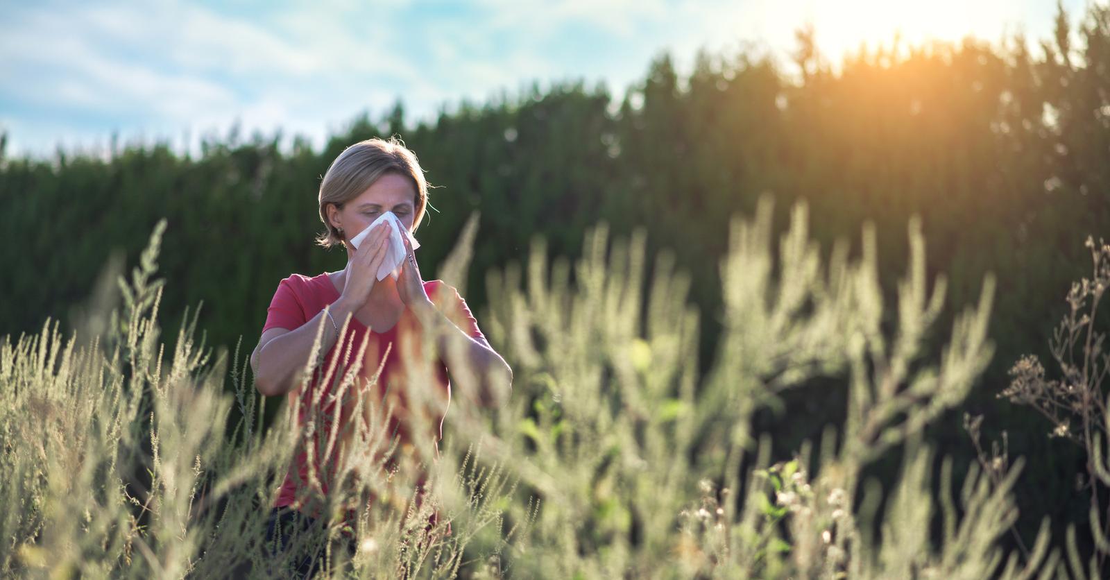 6 Astuces Simples Et Naturelles Contre L’Allergie Au Pollen – IXXLIQ