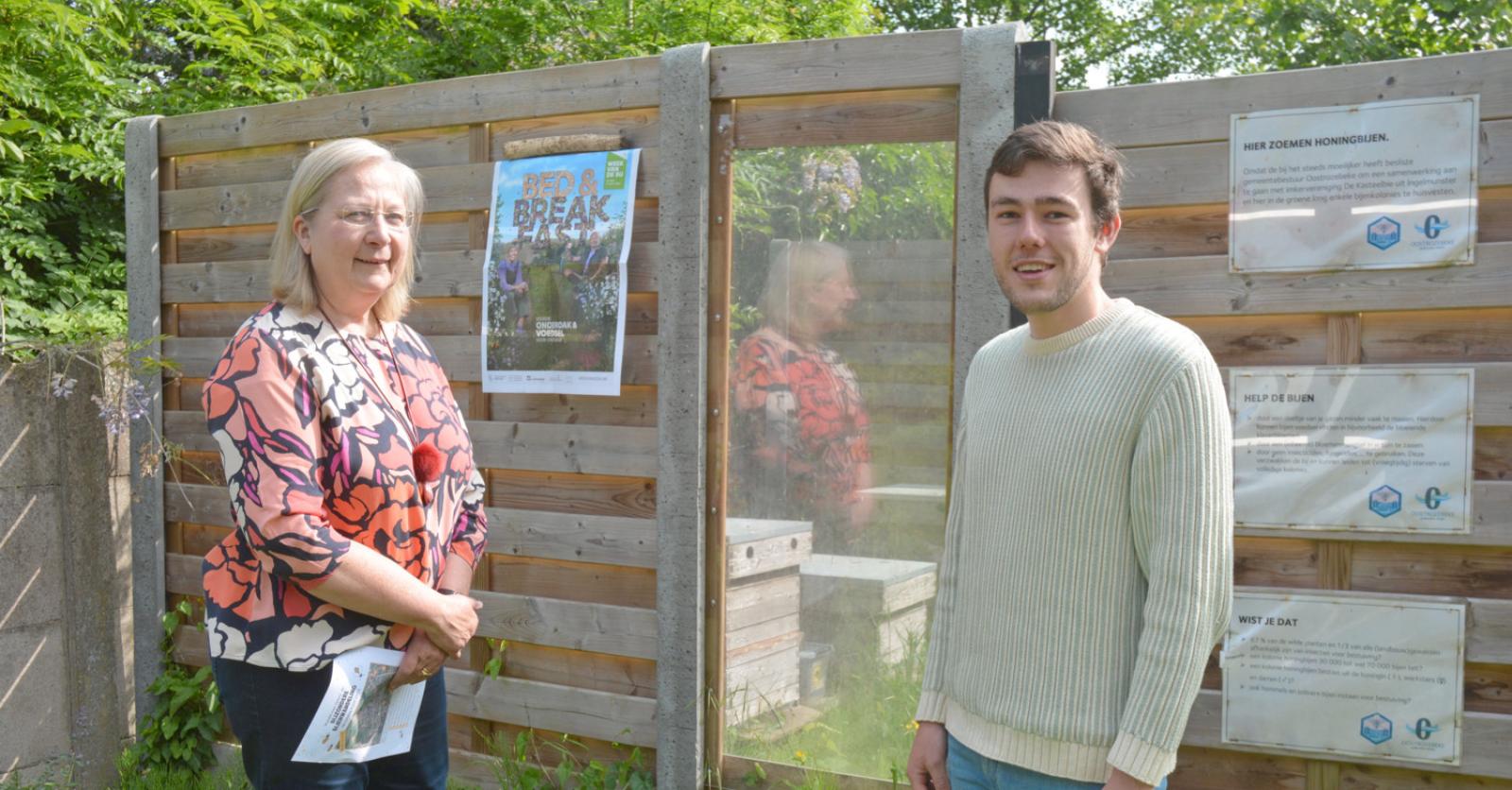 Oostrozebeke krijgt geen subsidies om Aziatische hoornaar te bestrijden