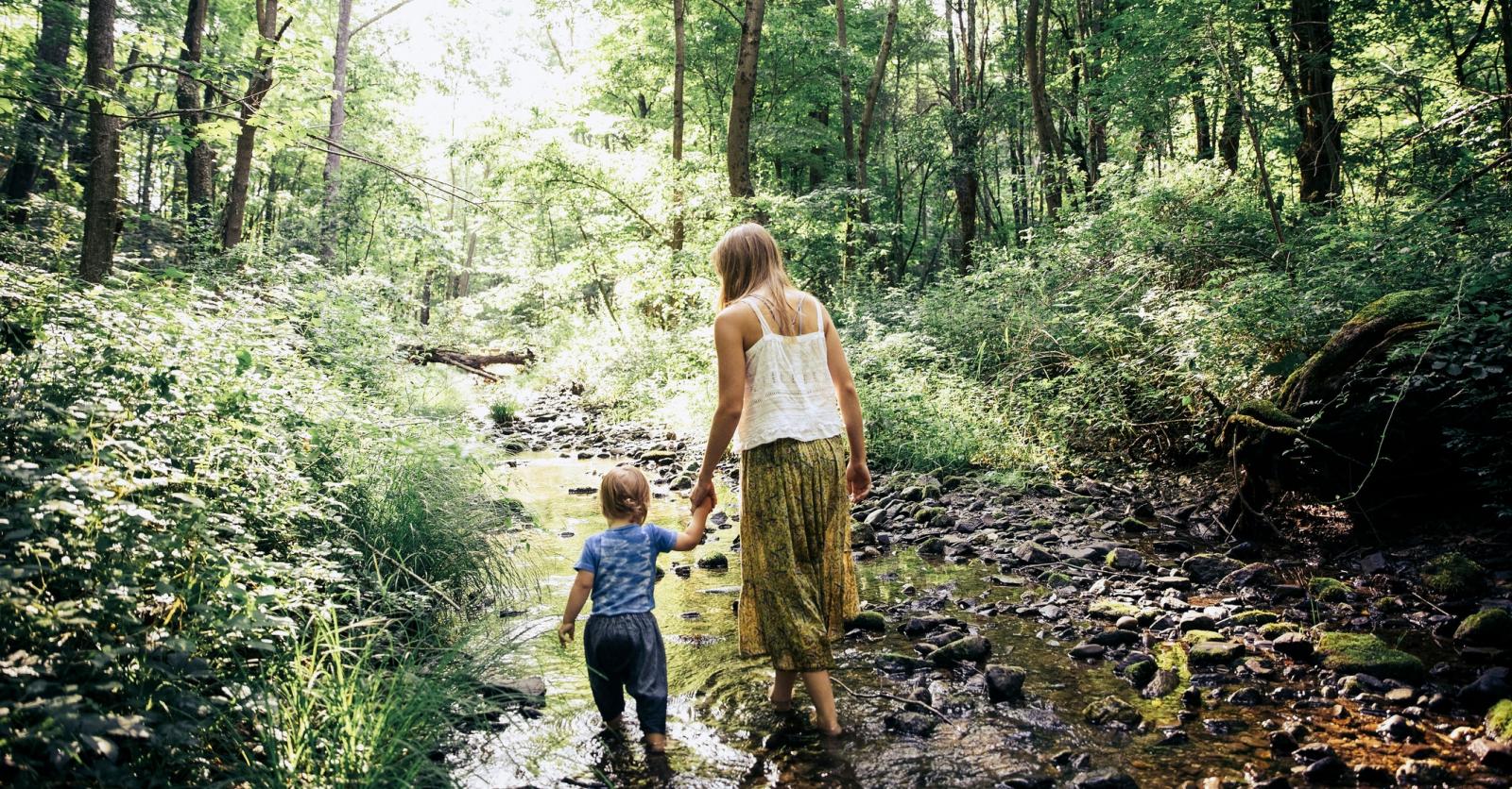 Wandelen langs het water in Vlaams-Brabant: 13 wandelroutes - Libelle