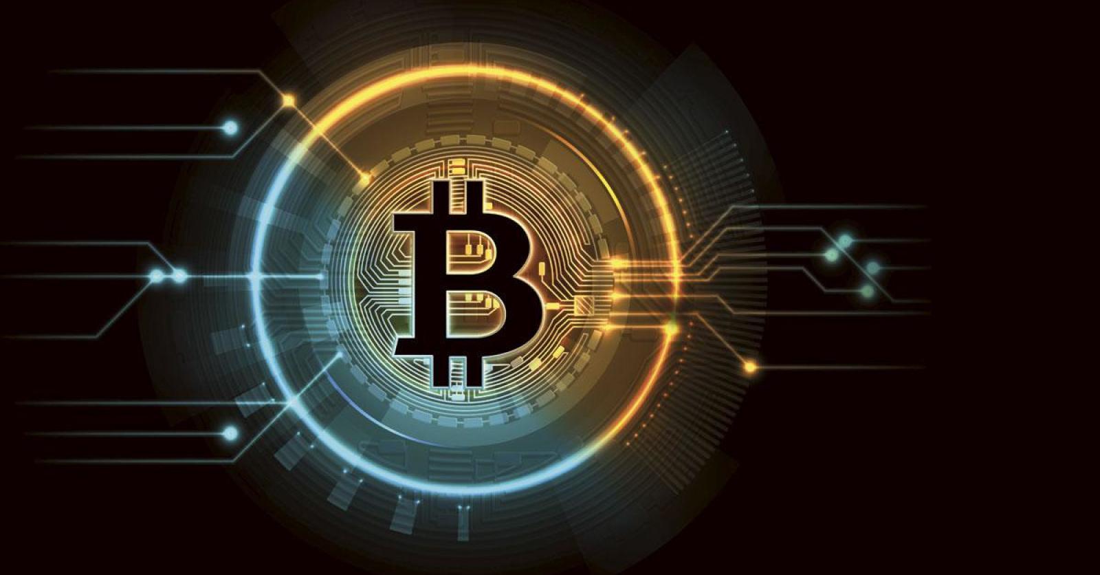 Bitcoin breekt record van 69.000 dollar: wat drijft de stijging? - Trends