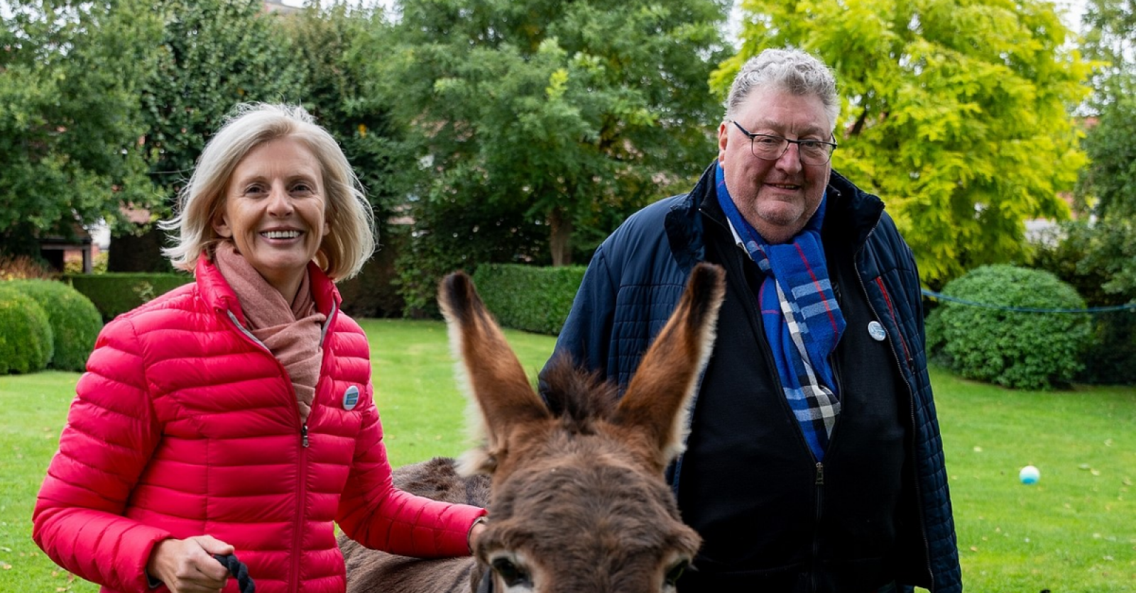 Burgerpartij ‘Voor 8560’ in Wevelgem voert campagne met een …ezel