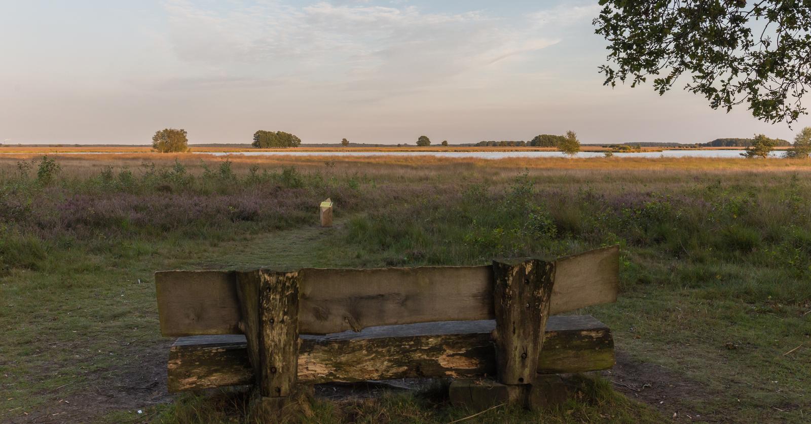 5 verrassende vakantiebestemmingen in Nederland waar je waarschijnlijk nog niet aan dacht