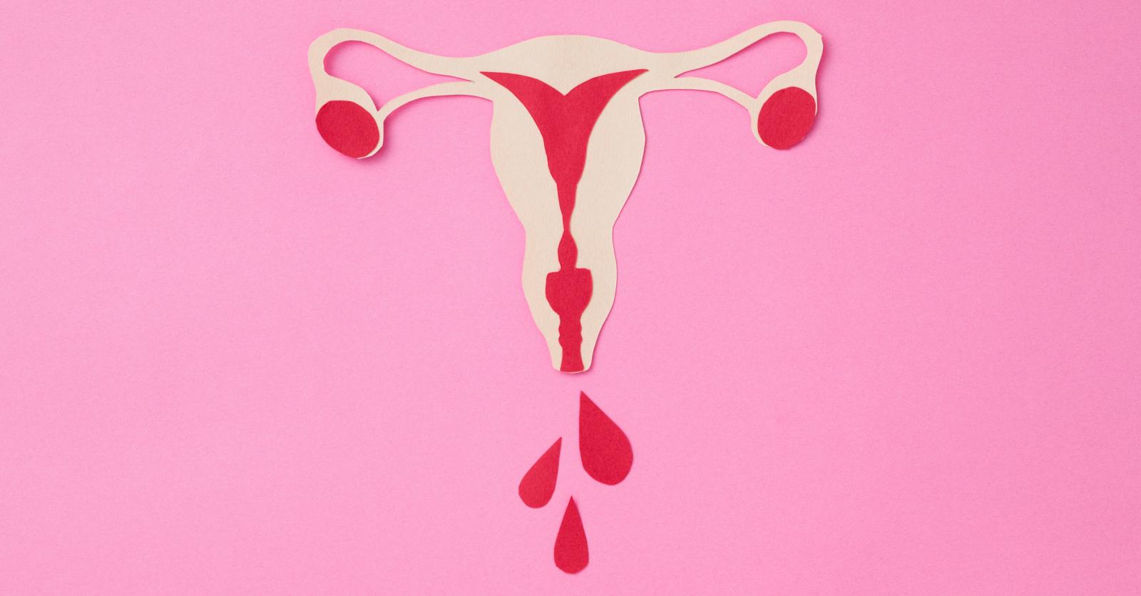 Is menstruation nonetheless essential?  – Knock