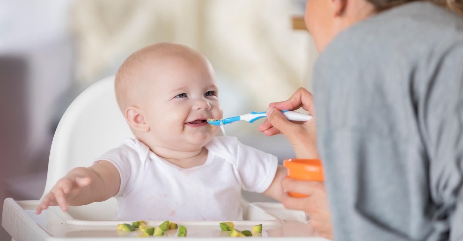 nip Eat Green Öko Bio Lot de 2 assiettes pour enfants sans mélamine ni