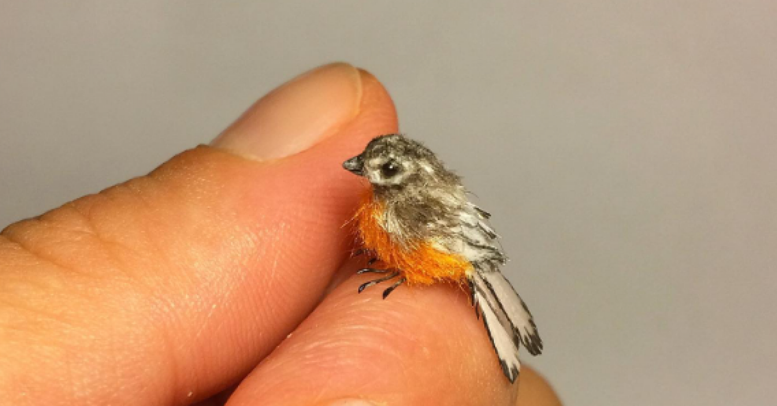 Factcheck: nee, dit is geen foto van de kleinste vogel ter wereld