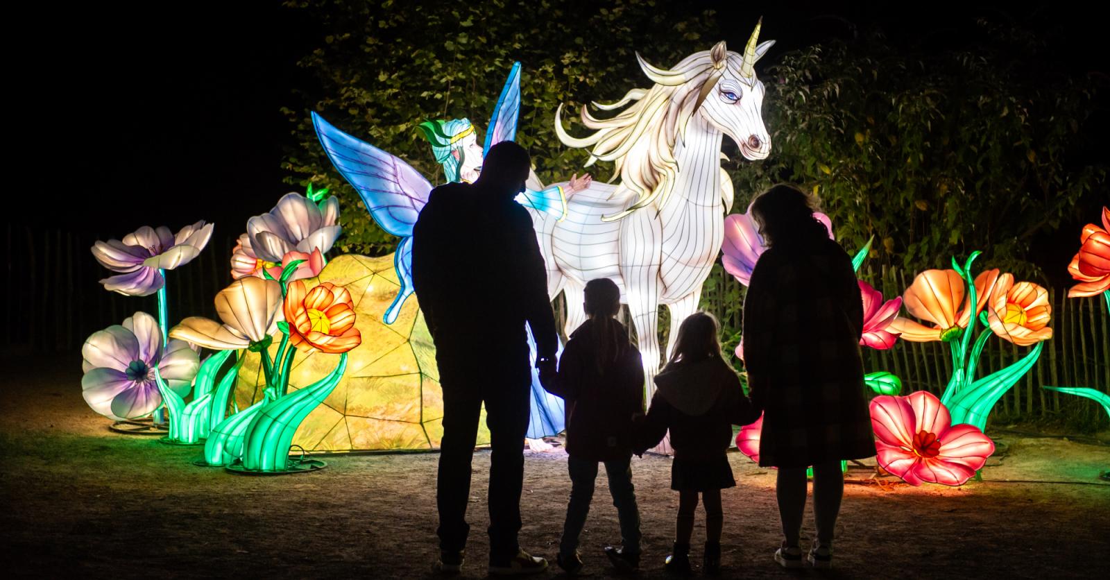 Thoiry Lumières Sauvages : un festival lumineux et féérique au cœur du zoo