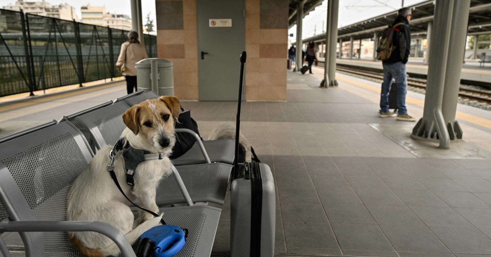 ‘Ik eis het recht op een middagdut op straat’