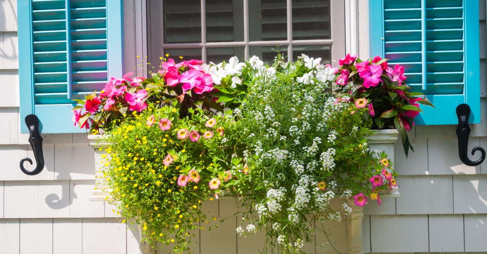 Plantenbak balkon reling | Top 5 leukste plantenbakken
